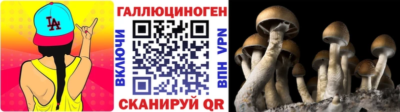 Псилоцибиновые грибы Psilocybine cubensis  продажа наркотиков  Бийск 