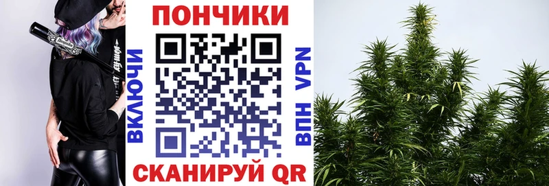 Бошки марихуана SATIVA & INDICA  Бийск 